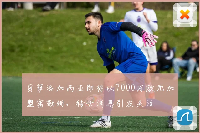 贡萨洛加西亚即将以7000万欧元加盟富勒姆，转会消息引发关注